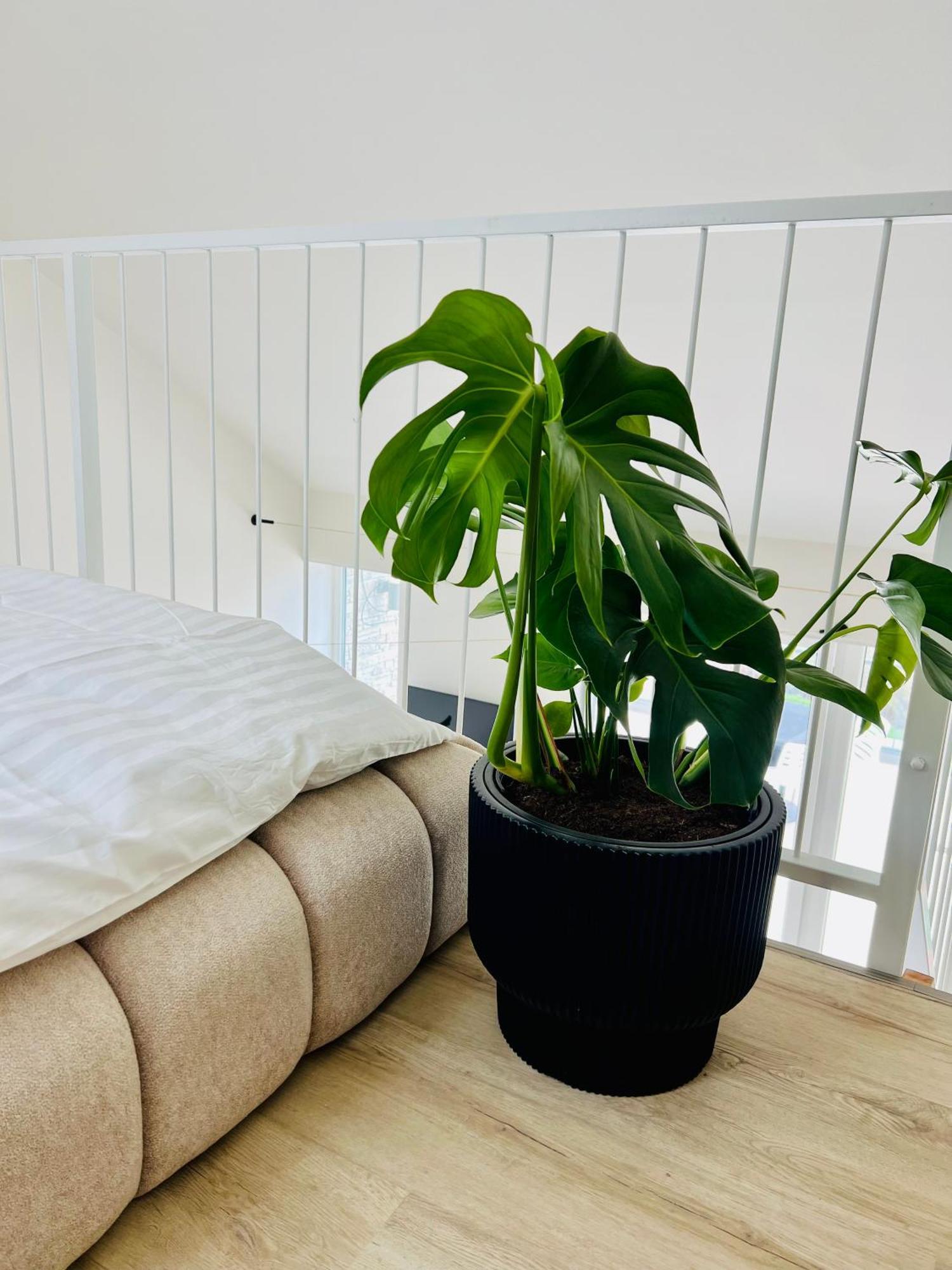 Pálavské Apartmány Pavlov Kültér fotó